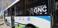 Buscan renovar la flota de Transporte Público con unidades de GNC