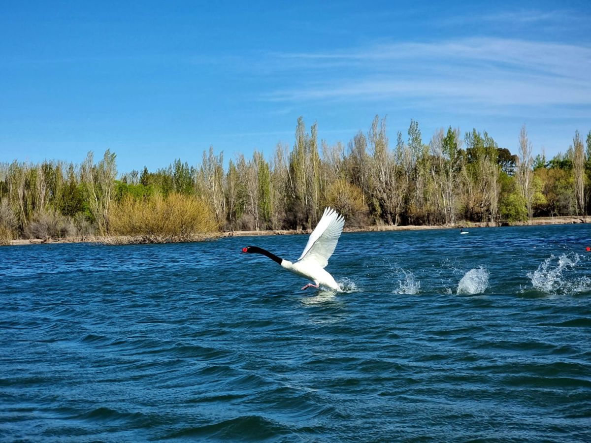 Se viene un finde agradable y ventoso en Neuquén