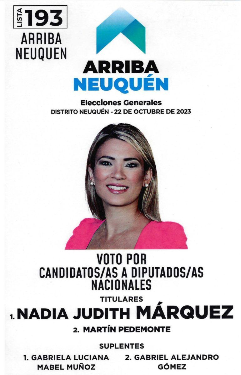 Las listas de candidatos a Diputados por Neuquén y dónde votarán