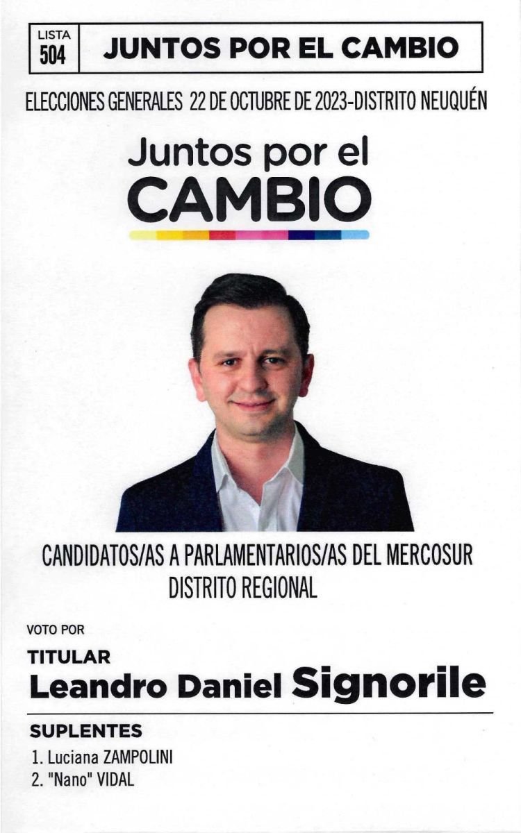 Las listas de candidatos a Diputados por Neuquén y dónde votarán