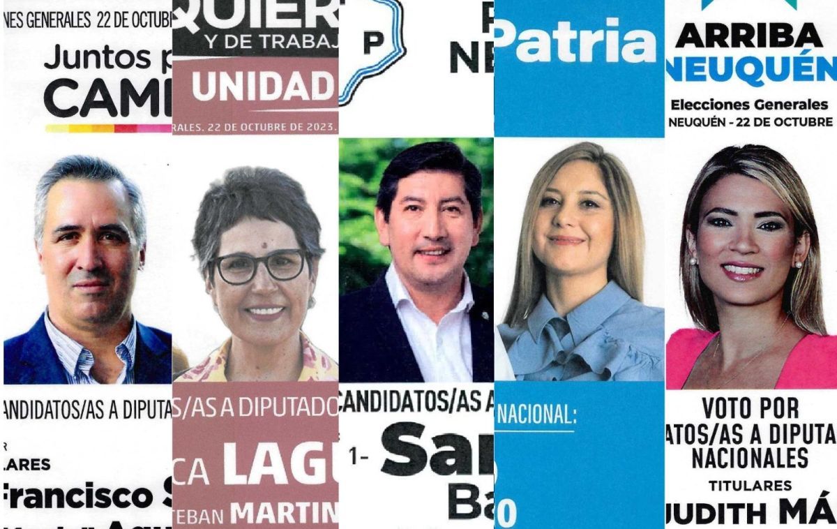 Las listas de candidatos a Diputados por Neuquén y dónde votarán