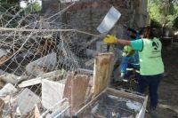 El municipio comenzó un operativo de limpieza de tres terrenos baldíos en Villa Florencia