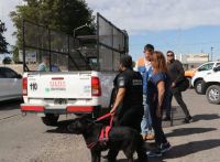 La Municipalidad decomisó gran cantidad de pirotecnia en viviendas, comercios y controles vehiculares