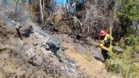 Lograron controlar el incendio "en todos los sectores" del Parque Nacional Los Alerces