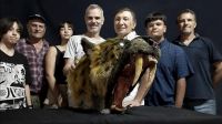 Descubrieron el primer fósil de un "tigre dientes de sable" en San Pedro