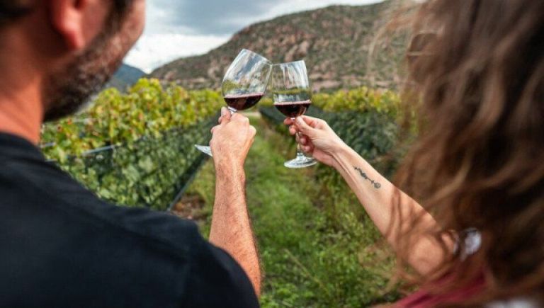 Celebrando la cultura vitivinícola en un encuentro único: llega el primer mercado de vinos  thumbnail