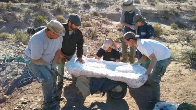 Descubren fósiles de un dinosaurio herbívoro de 90 millones de años cerca de El Chocón