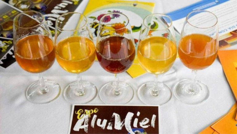 Expo Alumiel: los consumidores deciden la mejor miel de la Patagonia  thumbnail
