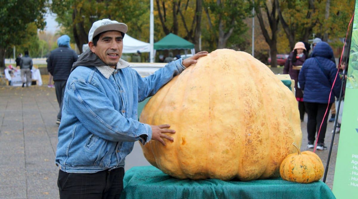 Ciudad Zapallo cerró con un ejemplar de casi 100 kilos
