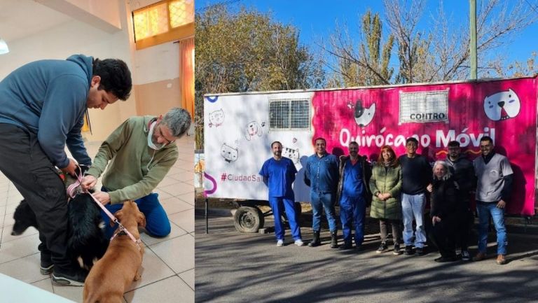 Habrá jornada de vacunación antirrábica y desparasitación gratuita de perros y gatos en El Progreso  thumbnail