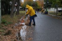 La Municipalidad realiza operativo especial de limpieza de cordones cuneta y bocas de tormenta 