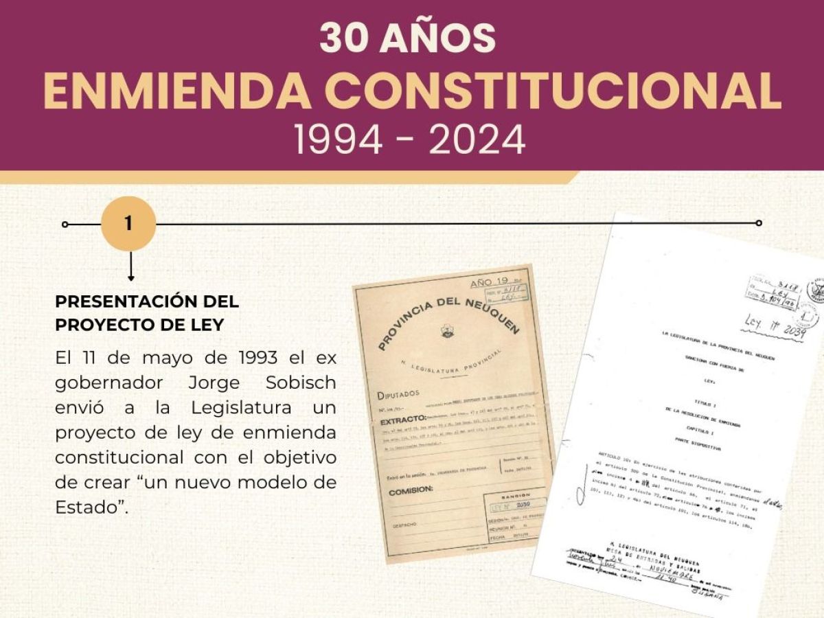 A 30 años de la enmienda de la Constitución de la Provincia de Neuquén de 1994