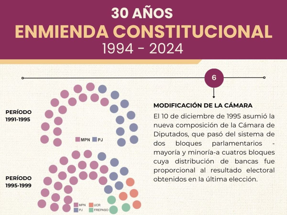 A 30 años de la enmienda de la Constitución de la Provincia de Neuquén de 1994
