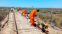 Tren Patagónico: Río Negro ya trabaja en la renovación de la vía Viedma - SAO