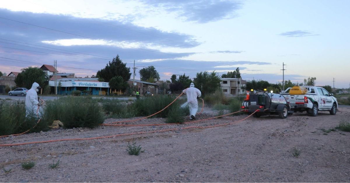 Centenario declara la emergencia ambiental por graves problemas en el sistema cloacal