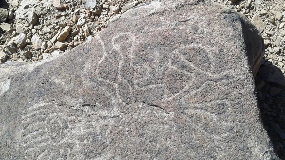 Neuquén tiene el yacimiento de arte rupestre más importante de Sudamérica