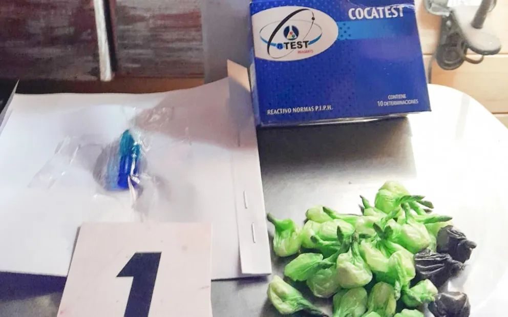 Golpe al narcotráfico en Villa La Angostura: Secuestraron 3 kilos de cocaína, arma y miles en efectivo