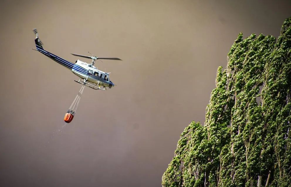 Comunicado del Comité Operativo