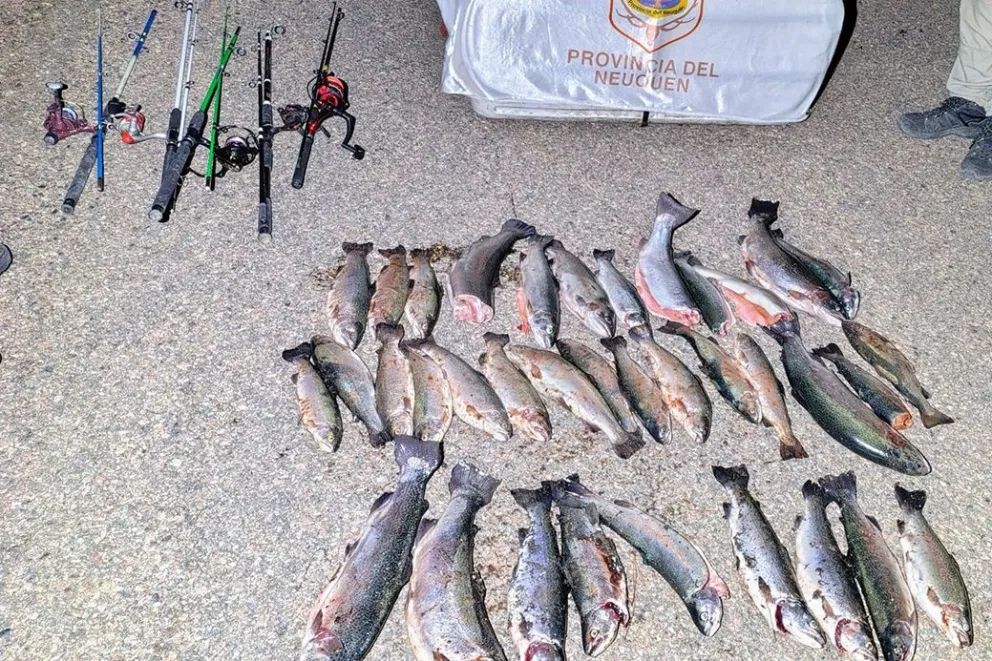 Decomisaron más de 180 truchas durante el fin de semana