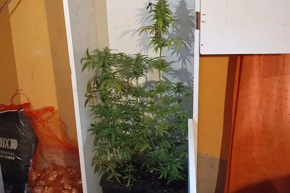 Amplio despliegue policial para allanamientos simultáneos