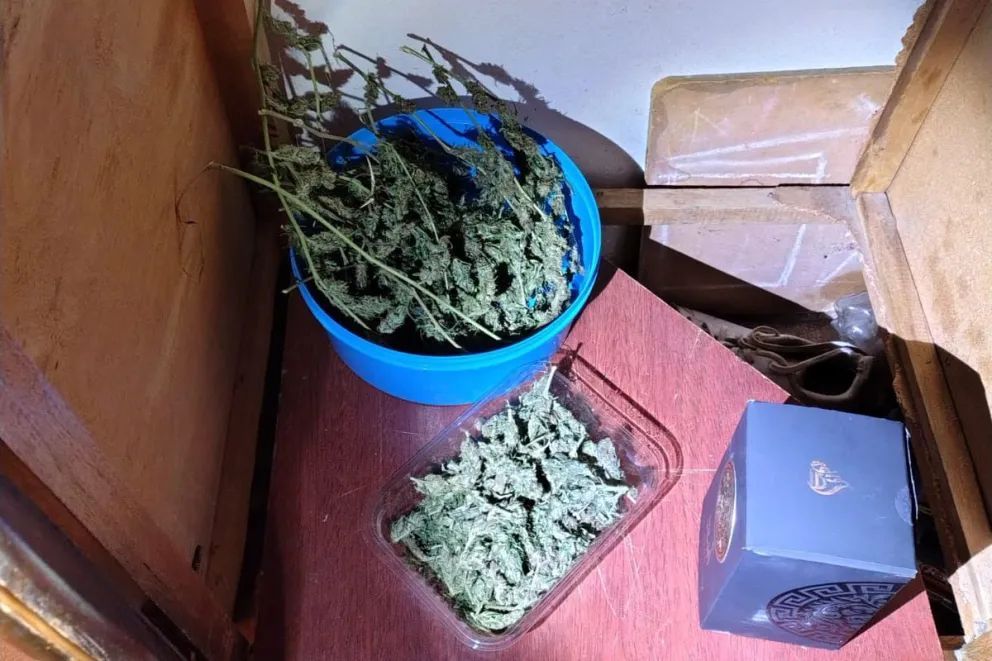 Golpe al microtráfico: secuestraron drogas y un arma en Senillosa