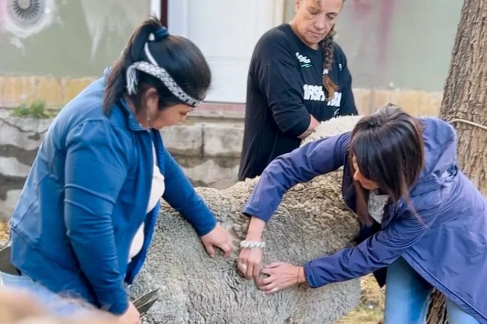 Manos pequeñas tejen grandes tradiciones y aprenden sobre el circuito productivo de la lana
