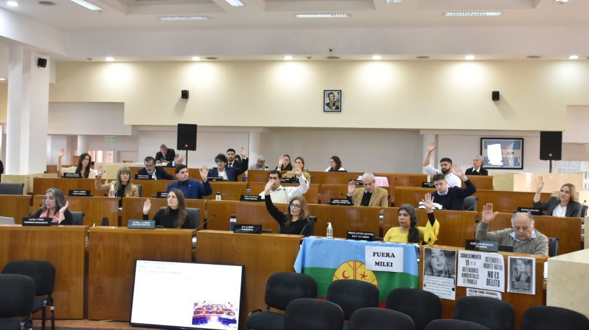 El Concejo Deliberante aprobó la creación de la app "Neuquén Taxis"