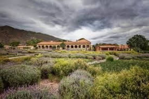 La “Mejor propuesta de Enoturismo en Bodega” de los Premios Winexplorers | Neuquén Al Instante