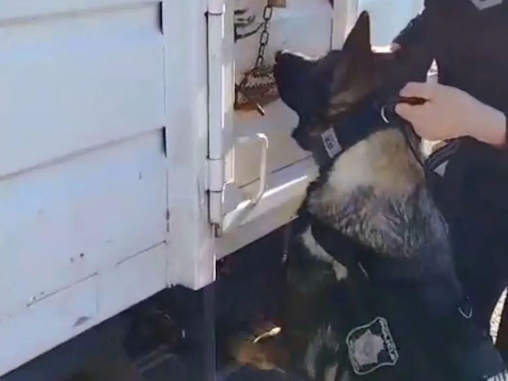 Intensifican el control en accesos a la Provincia para prevenir ingreso de drogas