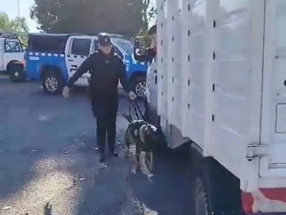 Intensifican el control en accesos a la Provincia para prevenir ingreso de drogas