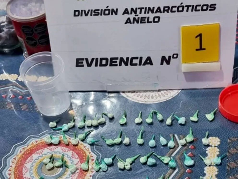 Cayó una banda que vendía drogas en San Patricio del Chañar