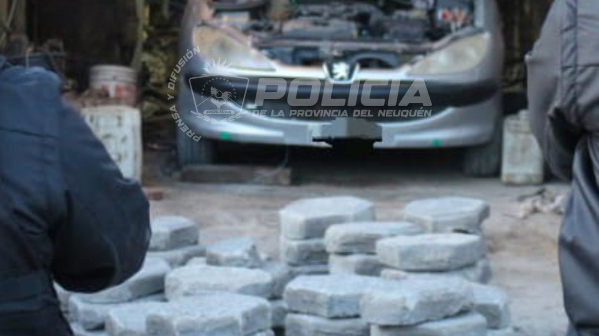 Zapala: la Municipalidad recuperó 158 adoquines robados en un allanamiento