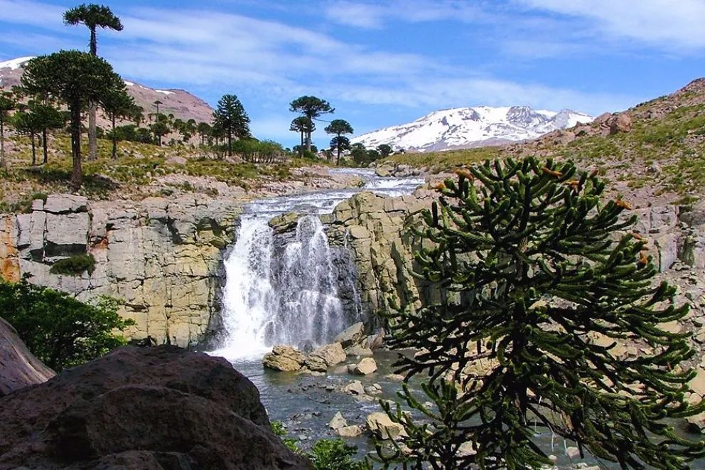 Neuquén despliega su potencial y oferta turística en vacaciones de invierno