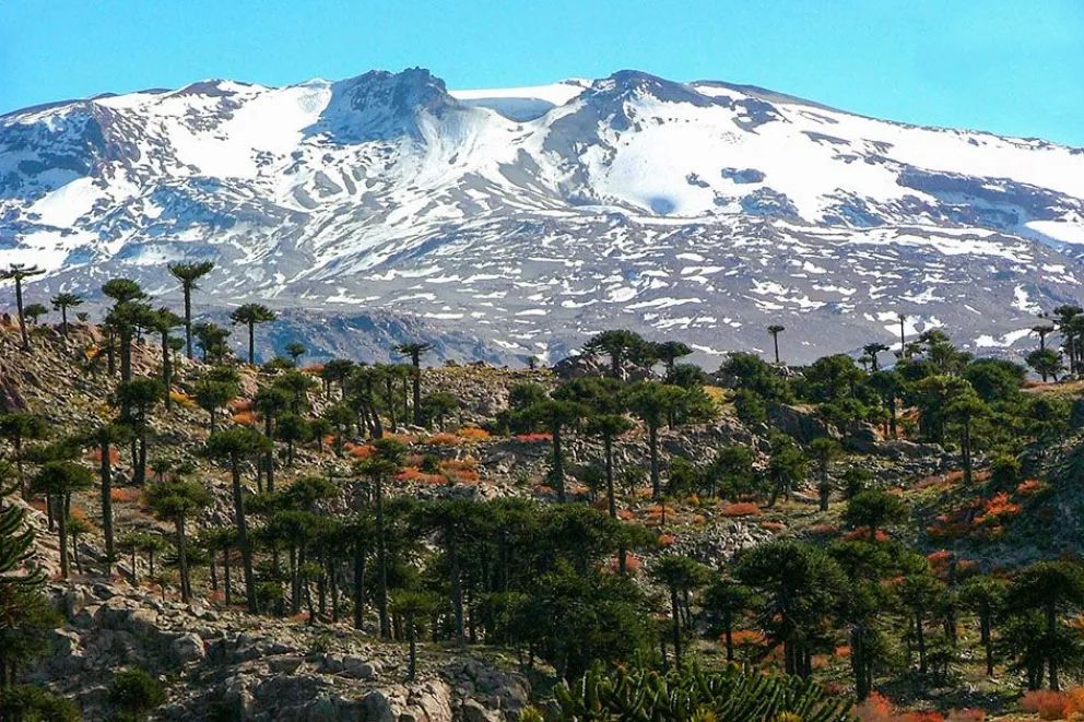 Neuquén despliega su potencial y oferta turística en vacaciones de invierno