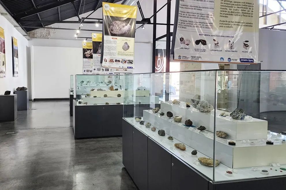 El Museo Olsacher de Zapala invita a descubrir los secretos prehistóricos de la Patagonia