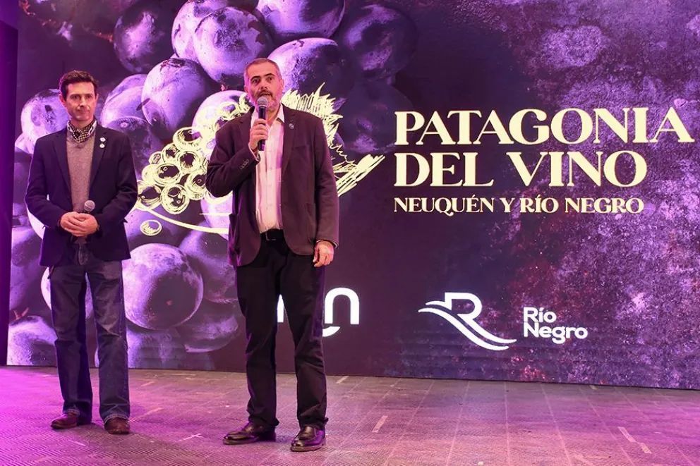 Más de 5 mil personas participaron de Patagonia del Vino