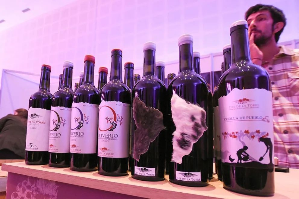 Más de 5 mil personas participaron de Patagonia del Vino