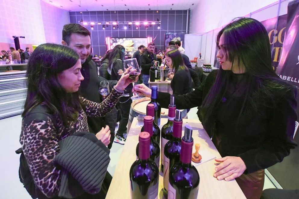 Más de 5 mil personas participaron de Patagonia del Vino