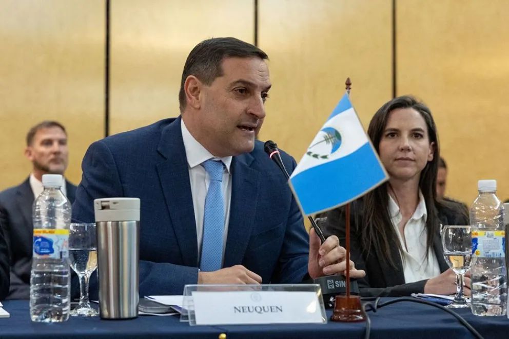 Neuquén participó de una nueva sesión del Consejo de Seguridad Interior