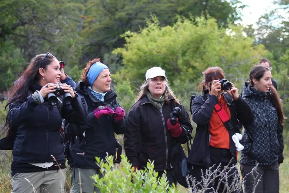Invitan a un curso de observación de aves y ornitología en San Martín de los Andes