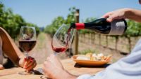 Día del Pinot Noir: el mapa de una cepa que encontró en la Patagonia uno de sus grandes terroirs argentinos
