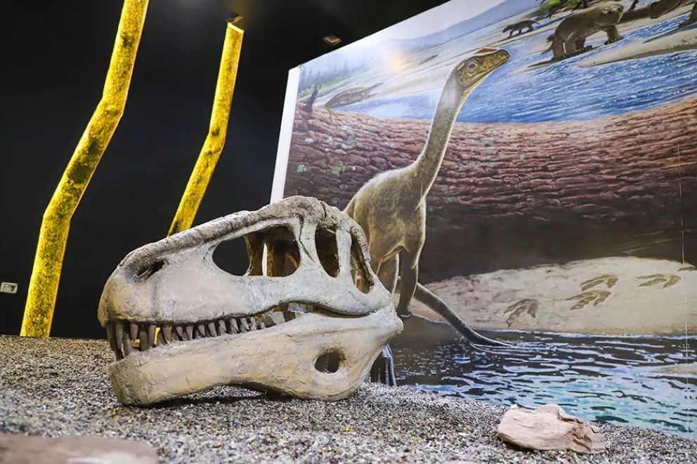 Picún Leufú fomenta y atrae turismo con sus lagunas naturales y el nuevo museo 