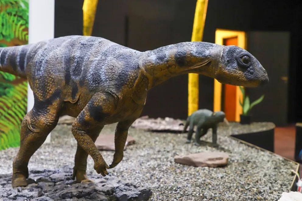 Picún Leufú fomenta y atrae turismo con sus lagunas naturales y el nuevo museo 