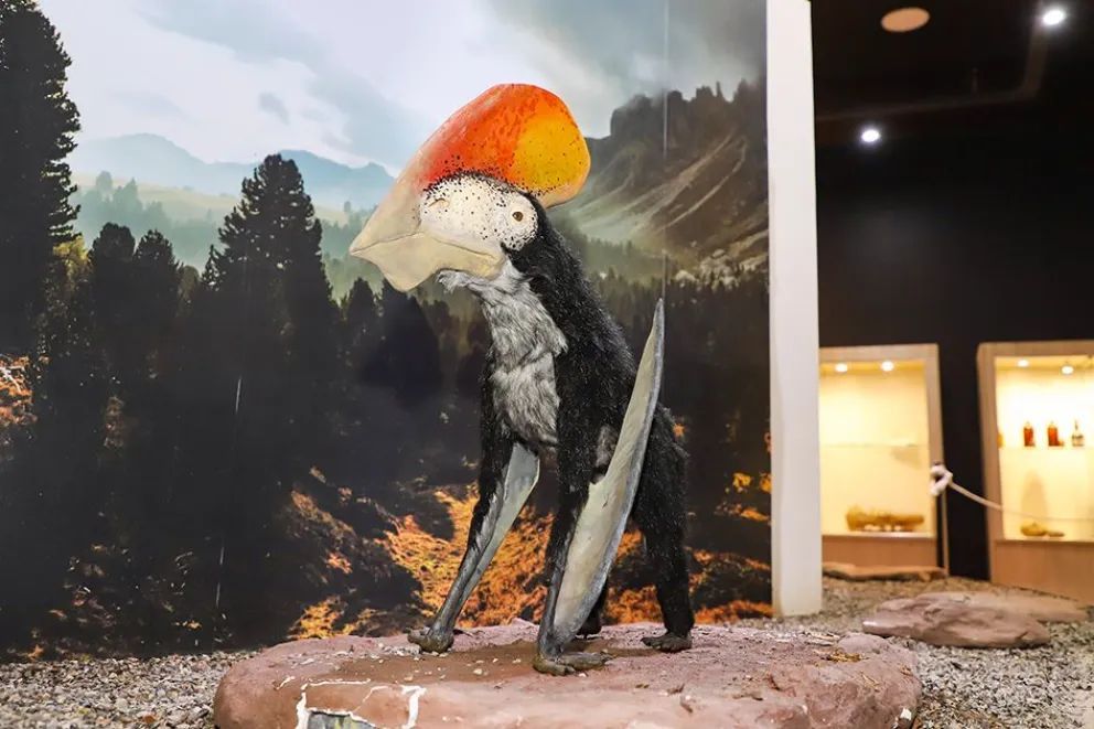 Picún Leufú fomenta y atrae turismo con sus lagunas naturales y el nuevo museo 