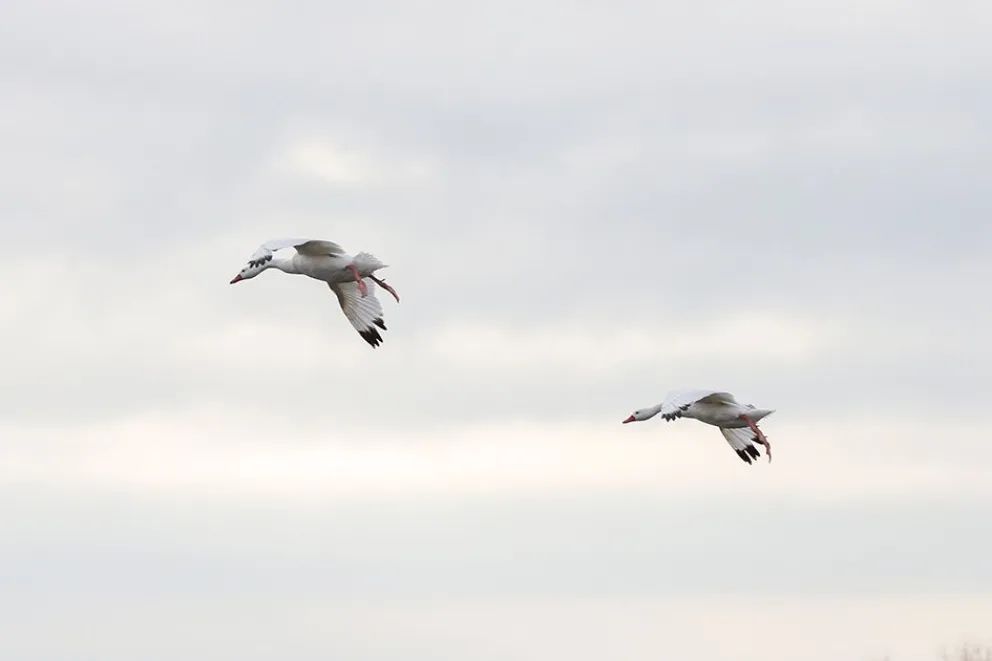 Picún Leufú fomenta y atrae turismo con sus lagunas naturales y el nuevo museo 