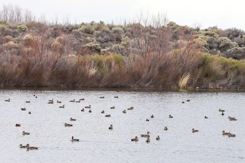 Picún Leufú fomenta y atrae turismo con sus lagunas naturales y el nuevo museo 