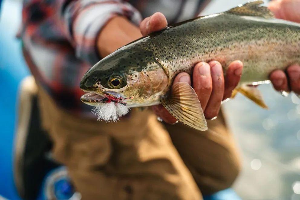 La Fiesta Nacional de la Trucha será el inicio de la temporada de pesca