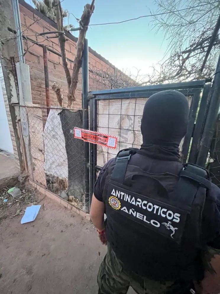 Nuevo golpe al narcotráfico en Rincón de los Sauces 