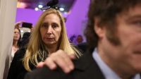 El mapa de provincias que La Libertad Avanza aspira a pintar de violeta