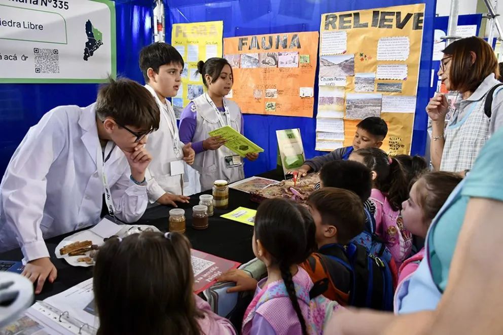 Expusieron 13 proyectos escolares de innovación tecnológica en Rincón de los Sauces